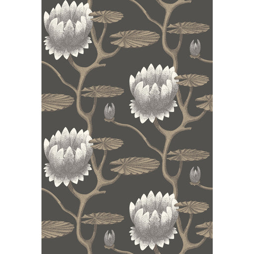 COLE & SON - SUMMER LILY- BLK/WHT/GOLD - Wallcovering by the Roll BLK/WHT/GOLD