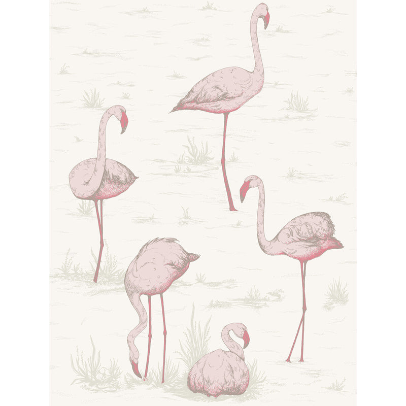 COLE & SON - FLAMINGOS- PINK/WHITE - Wallcovering by the Roll PINK/WHITE