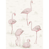 COLE & SON - FLAMINGOS- PINK/WHITE - Wallcovering by the Roll