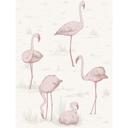 COLE & SON - FLAMINGOS- PINK/WHITE - Wallcovering by the Roll PINK/WHITE