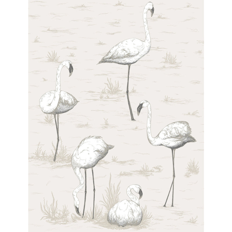 COLE & SON - FLAMINGOS- CHARCOAL/WHT - Wallcovering by the Roll CHARCOAL/WHT