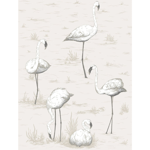 COLE & SON - FLAMINGOS- CHARCOAL/WHT - Wallcovering by the Roll CHARCOAL/WHT