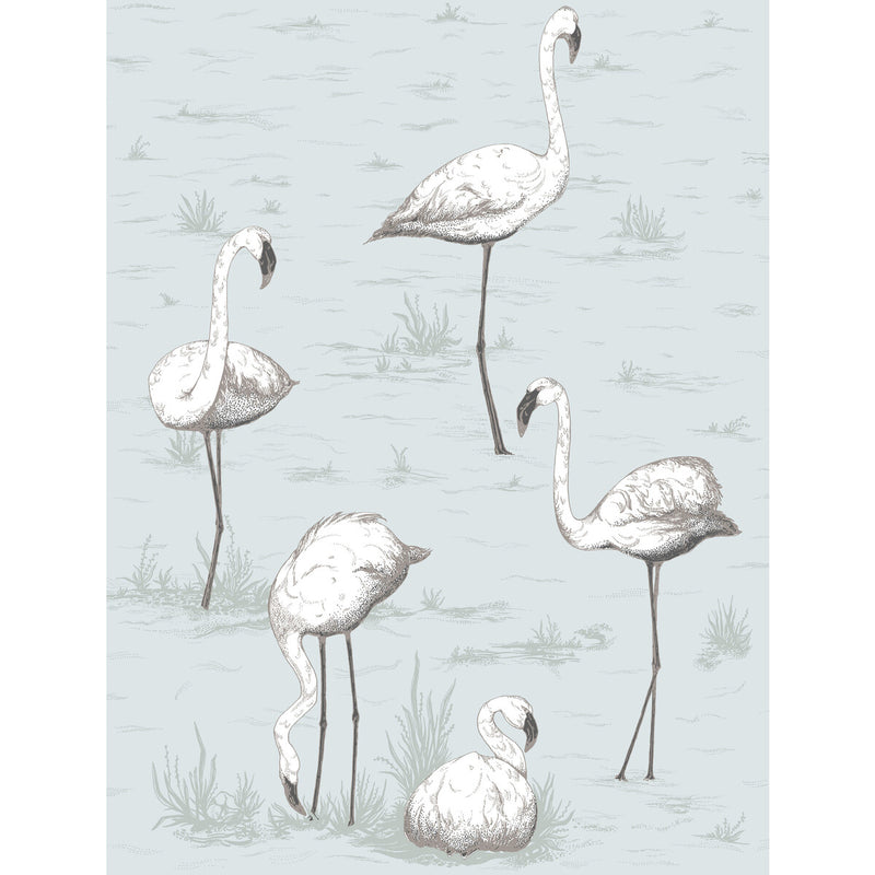 COLE & SON - FLAMINGOS- CHARCOAL/AQUA - Wallcovering by the Roll CHARCOAL/AQUA