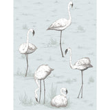 COLE & SON - FLAMINGOS- CHARCOAL/AQUA - Wallcovering by the Roll