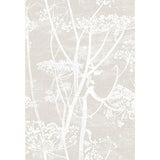 COLE & SON - COW PARSLEY- LINEN/WHITE - Wallcovering by the Roll