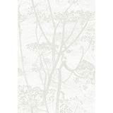COLE & SON - COW PARSLEY- WHITE - Wallcovering by the Roll