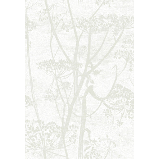 COLE & SON - COW PARSLEY- WHITE - Wallcovering by the Roll WHITE