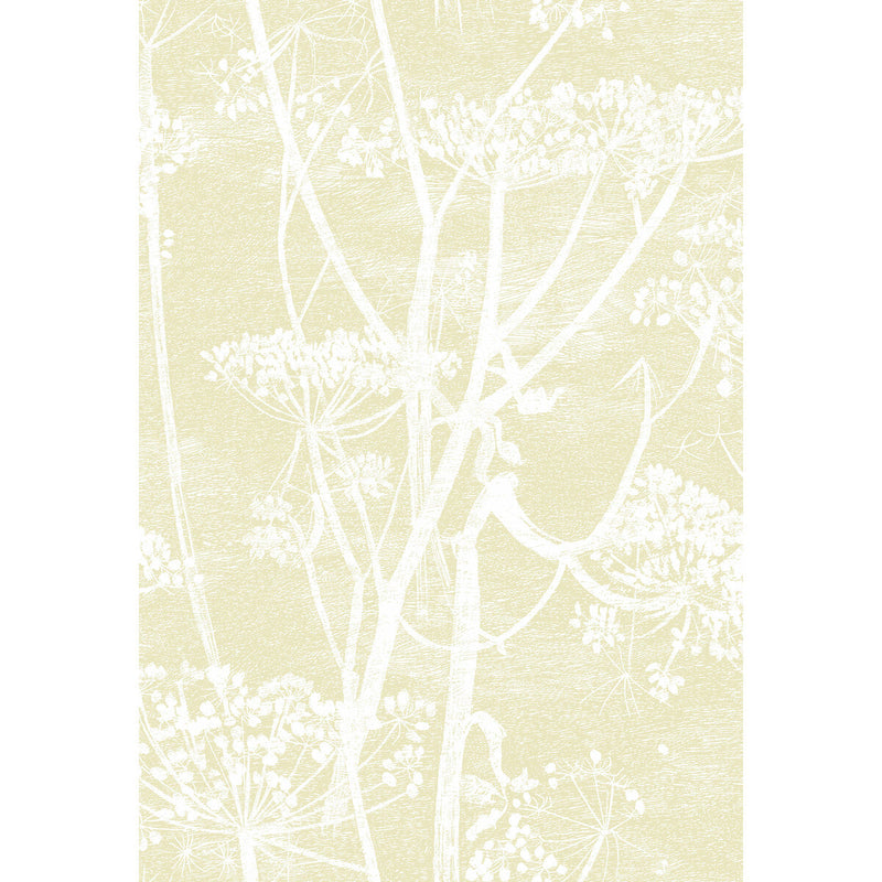 COLE & SON - COW PARSLEY- STRAW/WHITE - Wallcovering by the Roll STRAW/WHITE