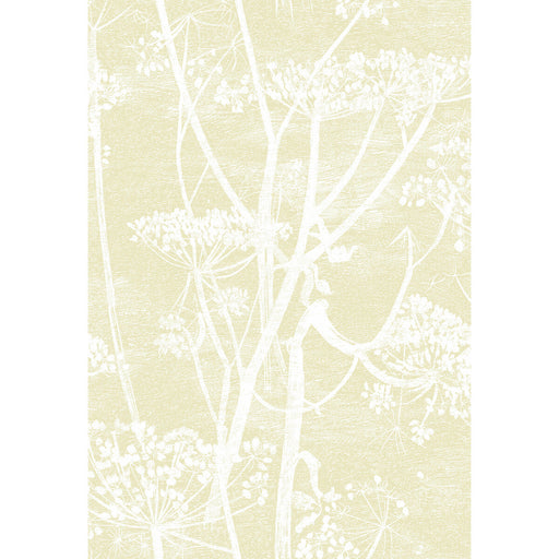 COLE & SON - COW PARSLEY- STRAW/WHITE - Wallcovering by the Roll STRAW/WHITE