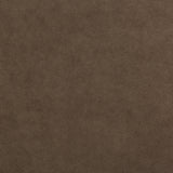 LEE JOFA - ULTIMATE- EARTH - Fabric by the Yard