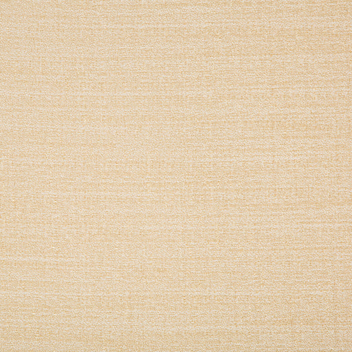 KRAVET BASICS - KRAVET BASICS- 9789-116 - Fabric by the Yard 9789-116