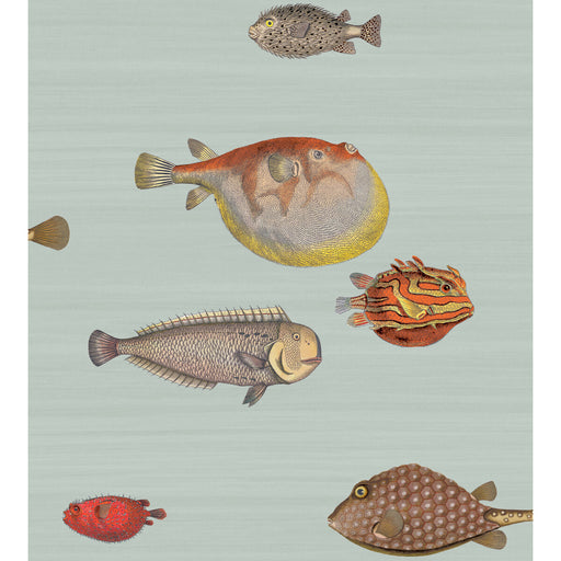 COLE & SON - ACQUARIO- PRINT ROOM BLUE - Wallcovering by the Roll PRINT ROOM BLUE