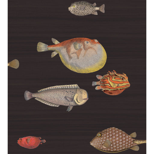 COLE & SON - ACQUARIO- BLACK & MULTI - Wallcovering by the Roll BLACK & MULTI