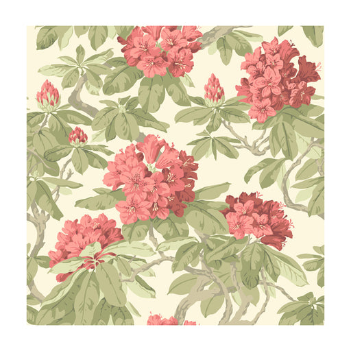COLE & SON - BOURLIE- CORAL - Wallcovering by the Roll CORAL