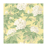 COLE & SON - BOURLIE- PALE LEMON - Wallcovering by the Roll