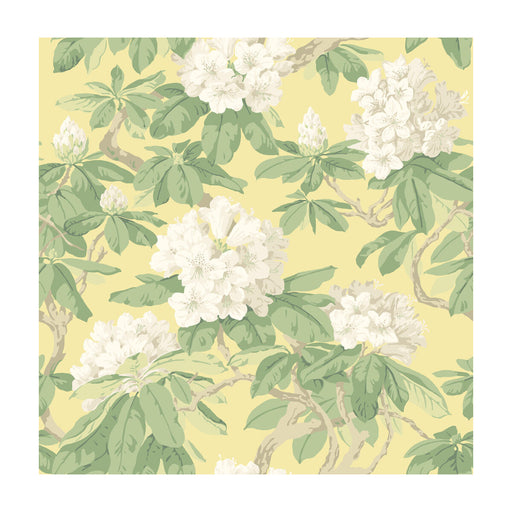 COLE & SON - BOURLIE- PALE LEMON - Wallcovering by the Roll PALE LEMON