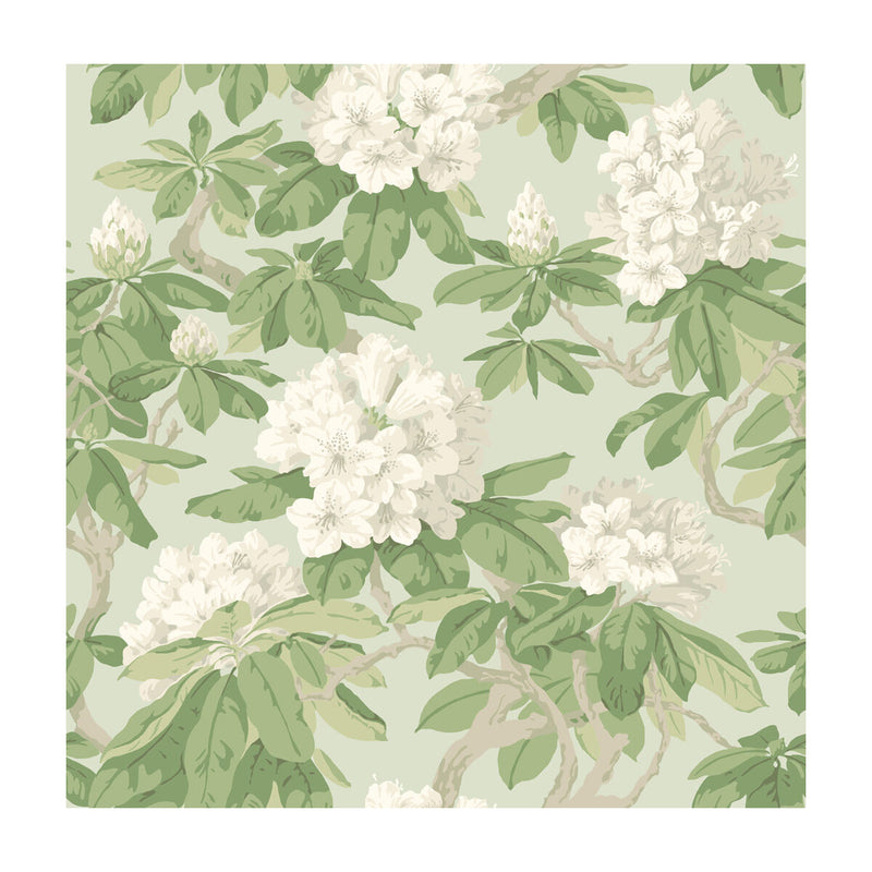 COLE & SON - BOURLIE- DUCK EGG - Wallcovering by the Roll DUCK EGG