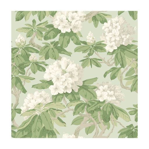 COLE & SON - BOURLIE- DUCK EGG - Wallcovering by the Roll DUCK EGG