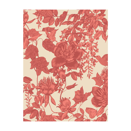 COLE & SON - TIVOLI- CORAL - Wallcovering by the Roll CORAL
