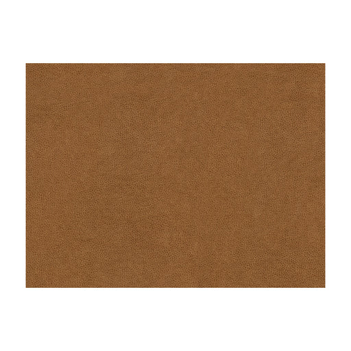 KRAVET CONTRACT - ABILENE- BISCUIT - Fabric by the Yard BISCUIT