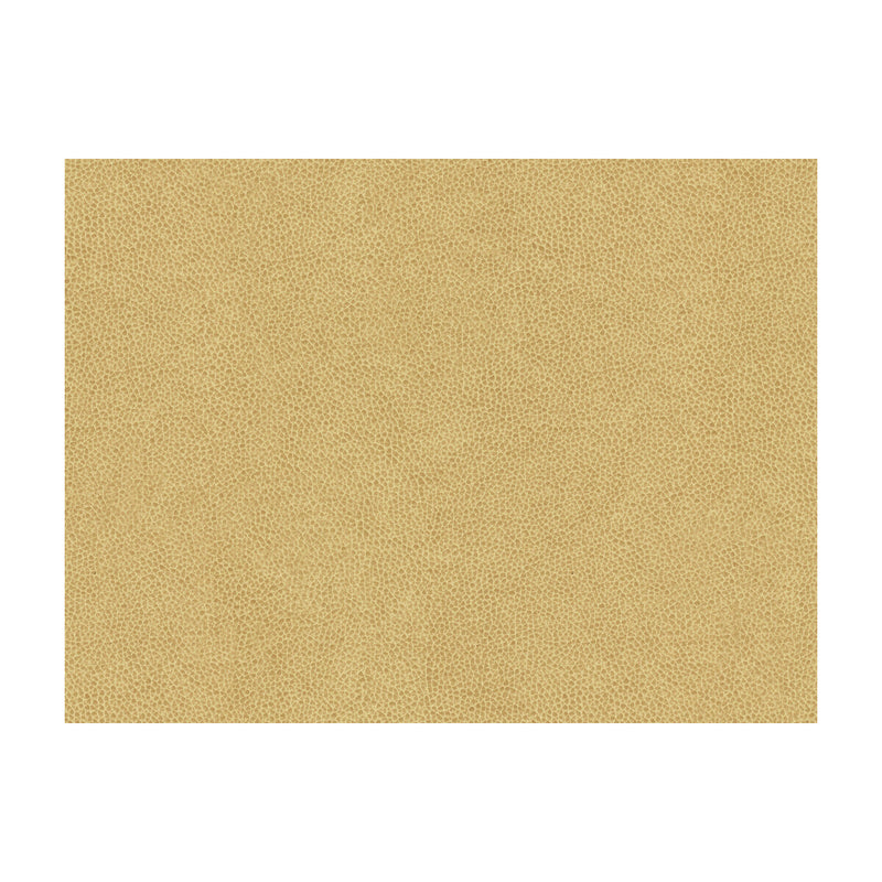 KRAVET CONTRACT - ABILENE- DUNE - Fabric by the Yard DUNE