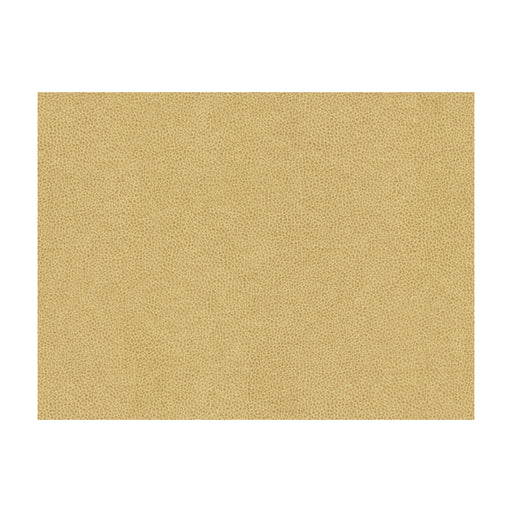 KRAVET CONTRACT - ABILENE- DUNE - Fabric by the Yard DUNE