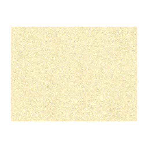 KRAVET CONTRACT - ABILENE - Fabric By the Yard