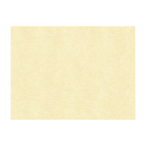 KRAVET CONTRACT - ABILENE- FOSSIL - Fabric by the Yard FOSSIL