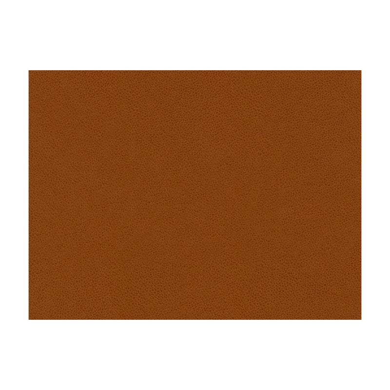 KRAVET CONTRACT - ABILENE- PENNY - Fabric by the Yard PENNY