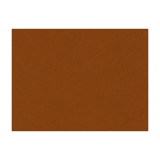 KRAVET CONTRACT - ABILENE- PENNY - Fabric by the Yard PENNY