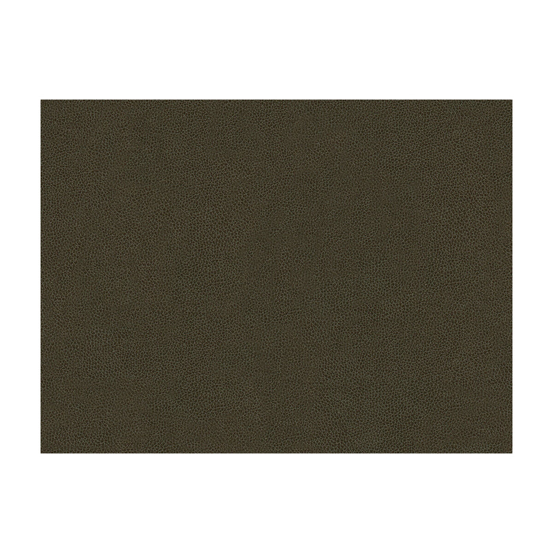 KRAVET CONTRACT - ABILENE- STALLION - Fabric by the Yard STALLION