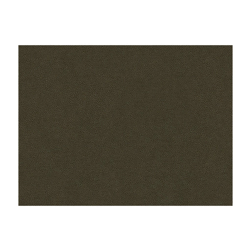 KRAVET CONTRACT - ABILENE- STALLION - Fabric by the Yard STALLION
