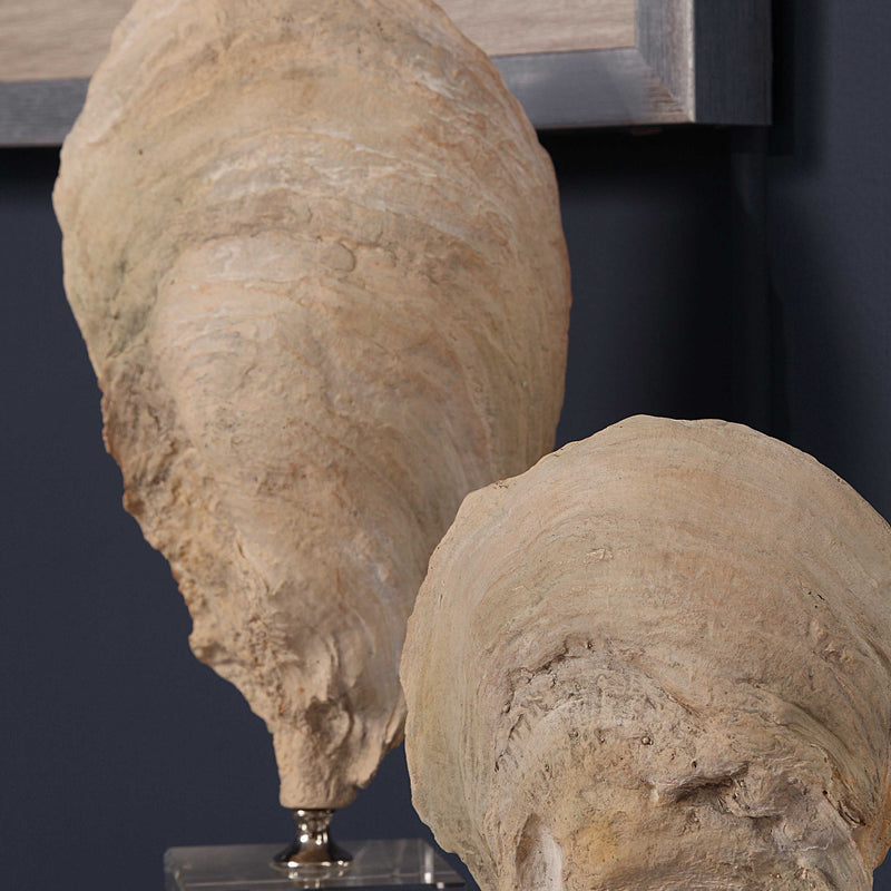 Uttermost Oyster Shell Sculptures Set/2