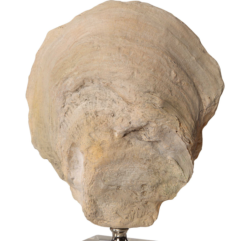 Uttermost Oyster Shell Sculptures Set/2
