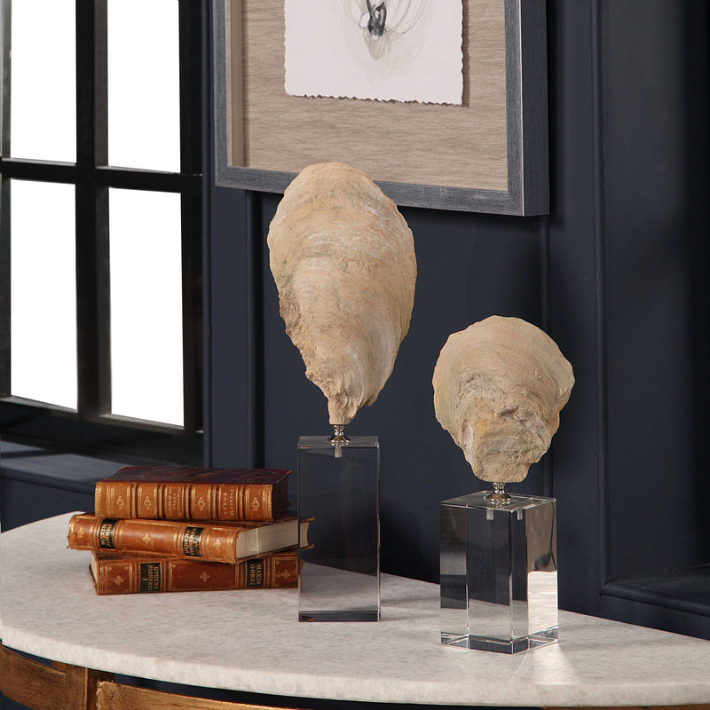 Uttermost Oyster Shell Sculptures Set/2