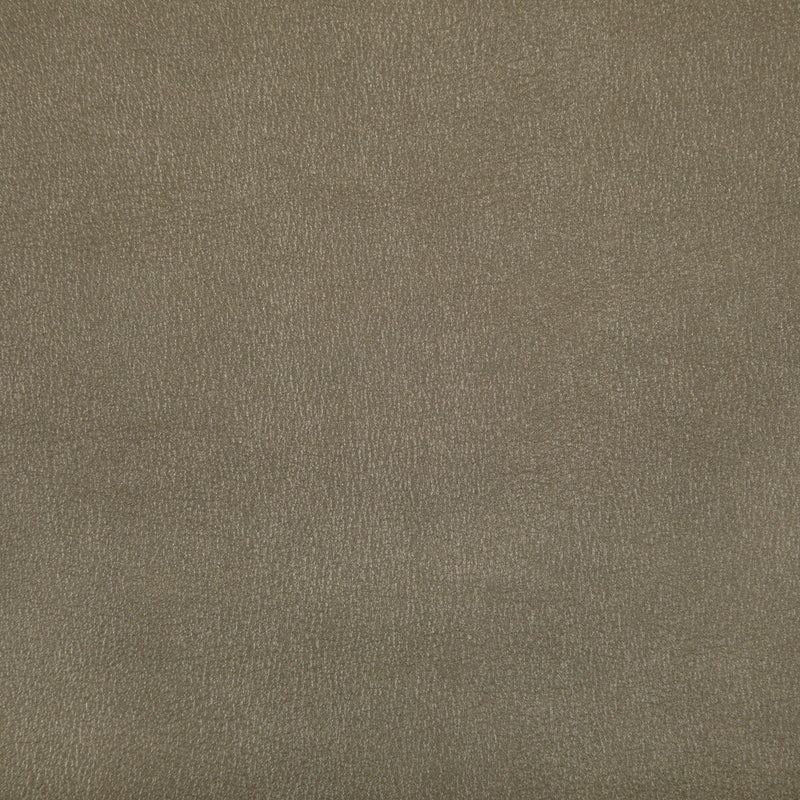 KRAVET CONTRACT - AGATHA- ANTIQUE - Fabric by the Yard ANTIQUE