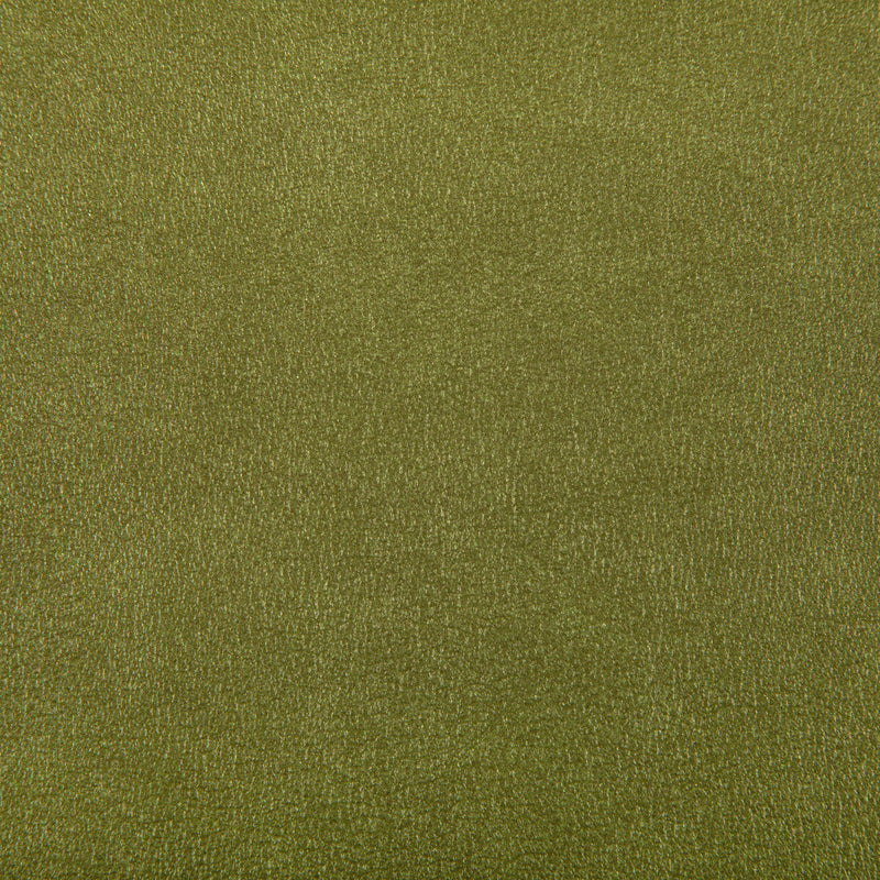 KRAVET CONTRACT - AGATHA- CACTUS - Fabric by the Yard CACTUS