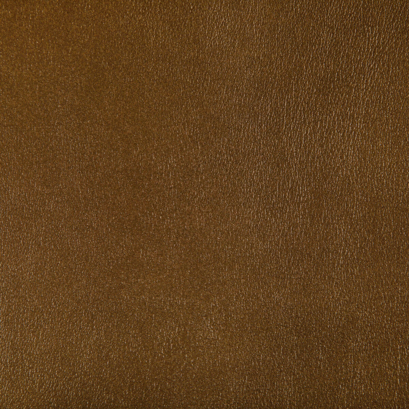 KRAVET CONTRACT - AGATHA- INCA - Fabric by the Yard INCA