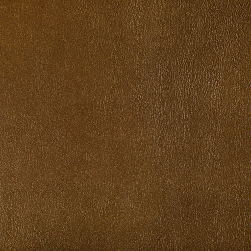 KRAVET CONTRACT - AGATHA- INCA - Fabric by the Yard INCA