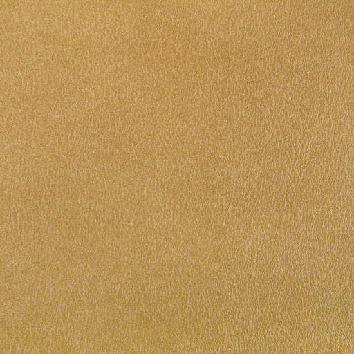 KRAVET CONTRACT - AGATHA- GILT - Fabric by the Yard GILT