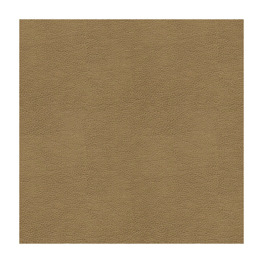 KRAVET SMART - KRAVET SMART- ALINA-106 - Fabric by the Yard ALINA-106