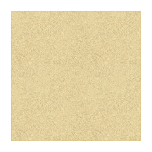 KRAVET SMART - KRAVET SMART- ALINA-116 - Fabric by the Yard ALINA-116