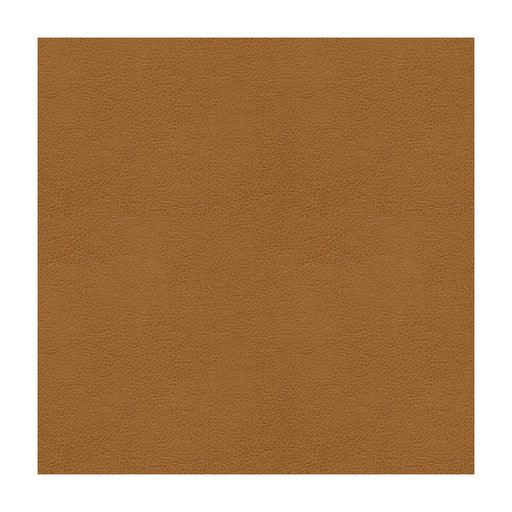KRAVET SMART - KRAVET SMART- ALINA-16 - Fabric by the Yard ALINA-16