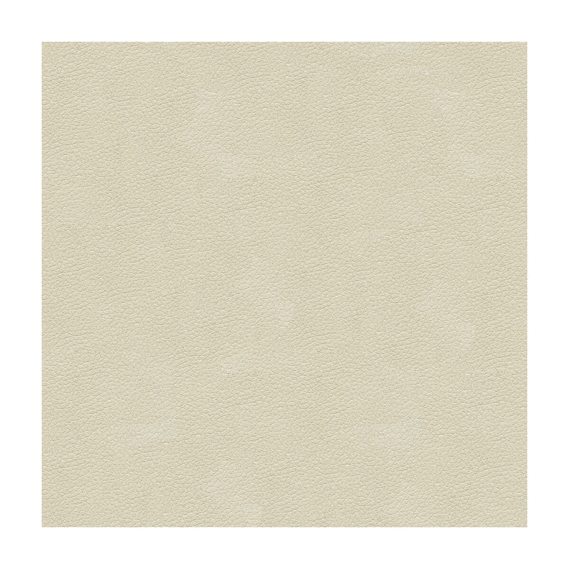 KRAVET DESIGN - KRAVET DESIGN- ALI-111 - Fabric by the Yard ALI-111