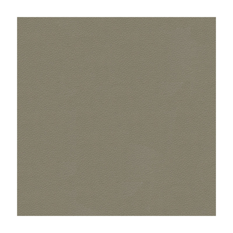 KRAVET DESIGN - KRAVET DESIGN- ALI-11 - Fabric by the Yard ALI-11