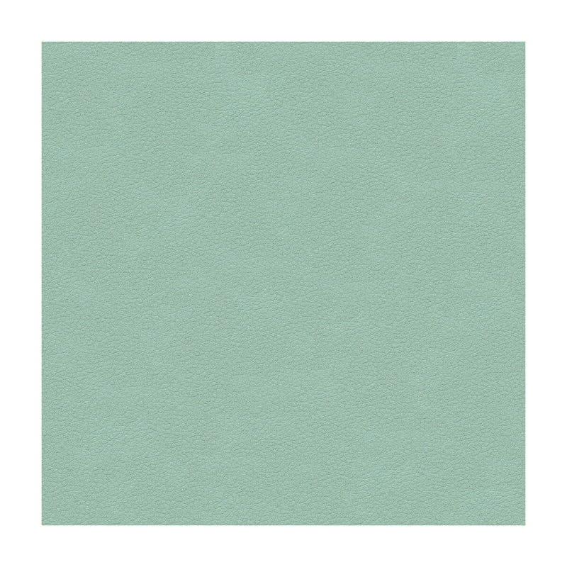KRAVET DESIGN - KRAVET DESIGN- ALI-15 - Fabric by the Yard ALI-15