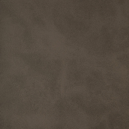 KRAVET DESIGN - KRAVET DESIGN- ALUM-11 - Fabric by the Yard ALUM-11