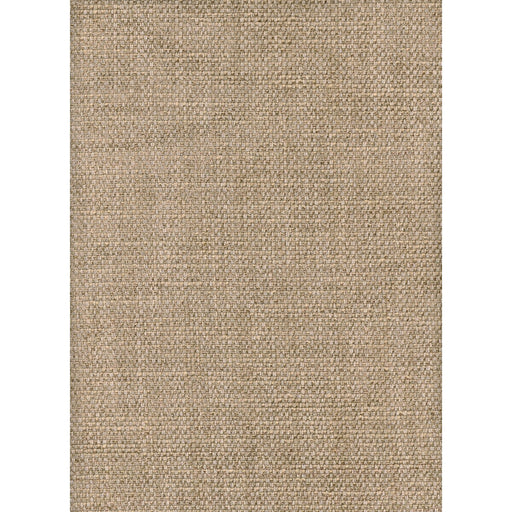 KRAVET COUTURE - PARAGGI- WHEAT - Fabric by the Yard WHEAT