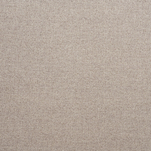 KRAVET COUTURE - PARAGGI - GRANITA - Fabric By The YARD