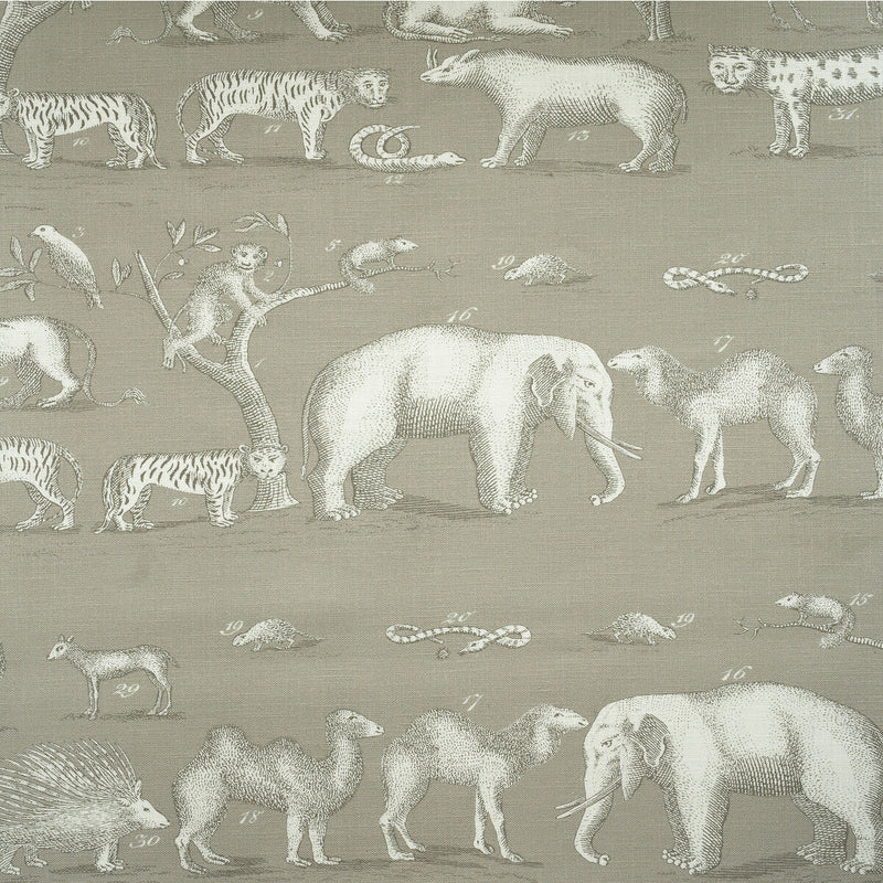 KRAVET COUTURE - KINGDOM OUTDOOR- CLOUD - Fabric by the Yard CLOUD